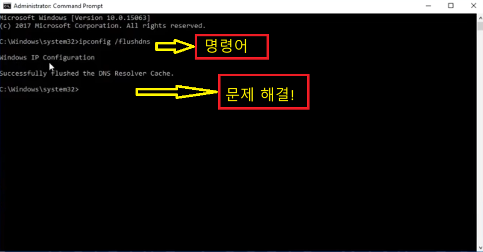 DNS 초기화